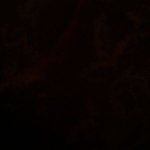 Meet your Posher, Cathy